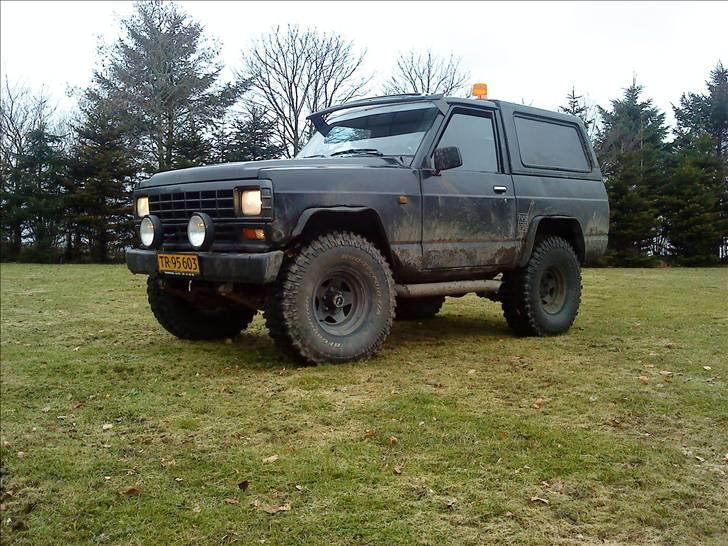 Nissan DET SORTE FÅR (SOLGT) billede 1