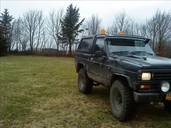 Nissan DET SORTE FÅR (SOLGT) billede 2