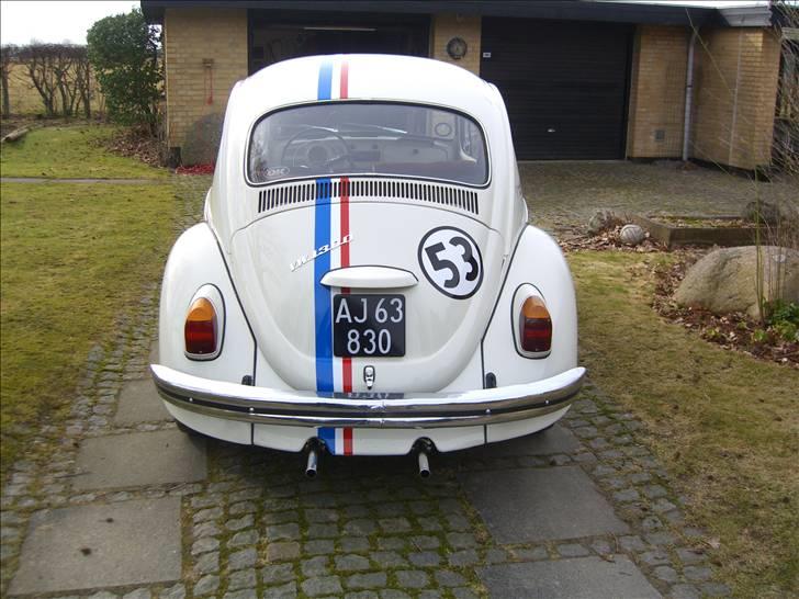 VW Bobbel billede 3