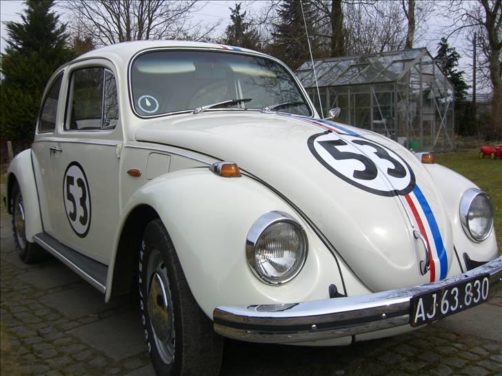 VW Bobbel billede 5