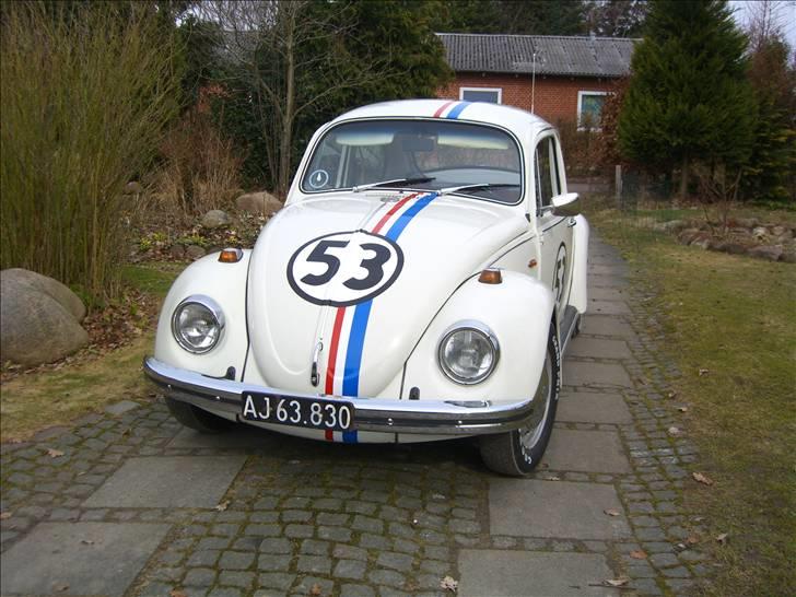 VW Bobbel billede 6