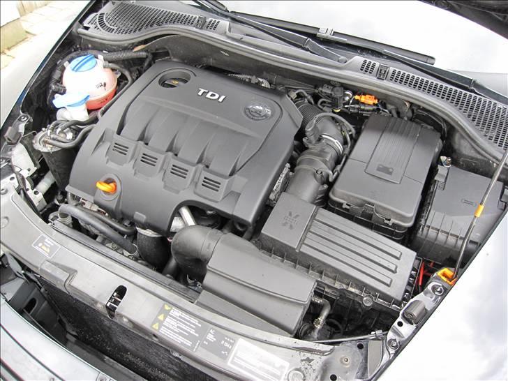 Skoda Octavia RS TDI (Familiecontaineren) billede 16