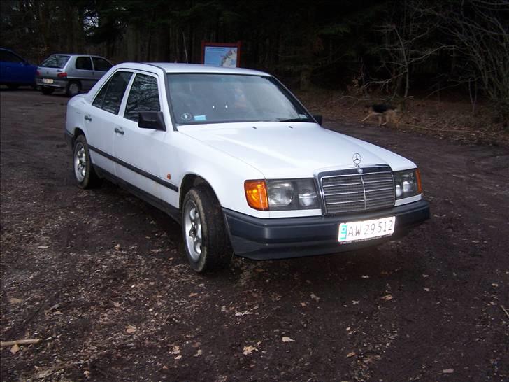 Mercedes Benz E-klasse W124 250D *solgt billede 13