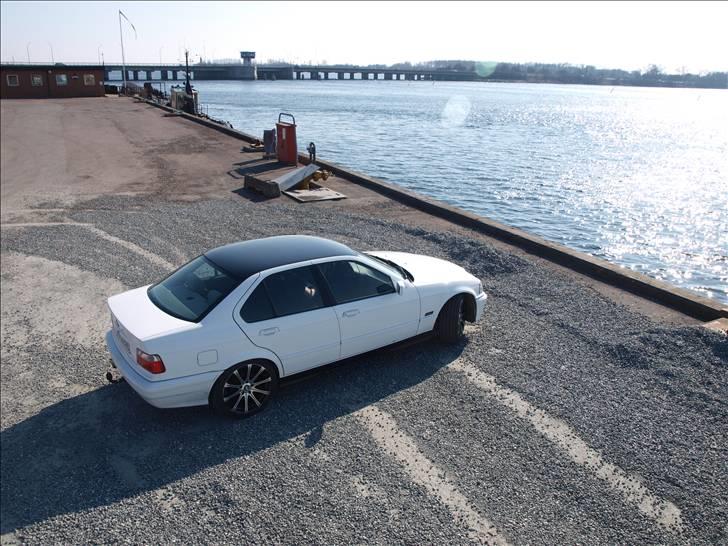 BMW e36 316i SOLGT billede 11
