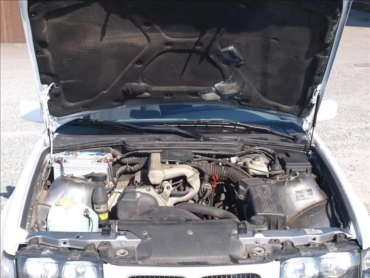 BMW e36 316i SOLGT billede 12