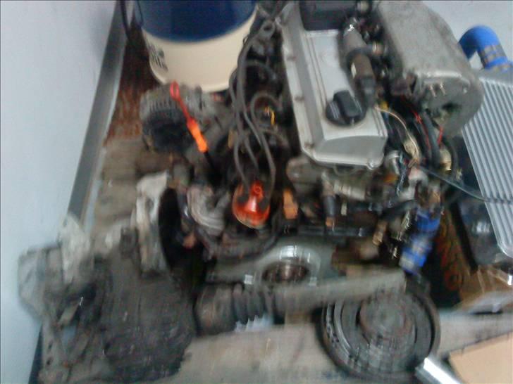 Seat ibiza billede 15