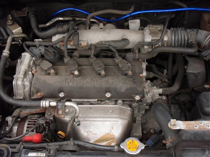 Nissan X-trail Sport  - solgt - motoren, stadigvæk standard men den virker og der er ingen problemer med den billede 19