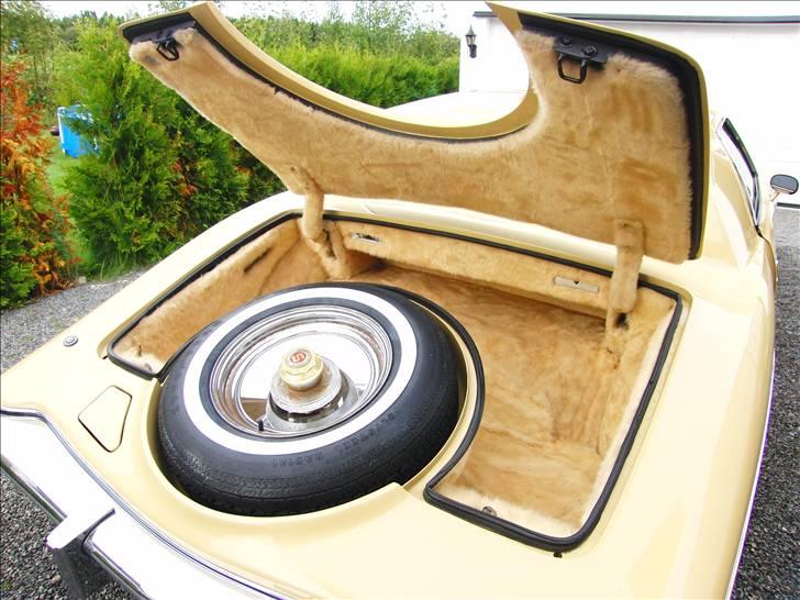 Amerikaner Stutz Blackhawk billede 4