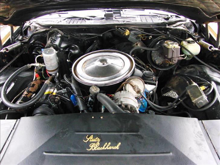 Amerikaner Stutz Blackhawk billede 5