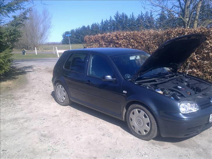 VW Golf 4 TDI 4MOTION solgt billede 5