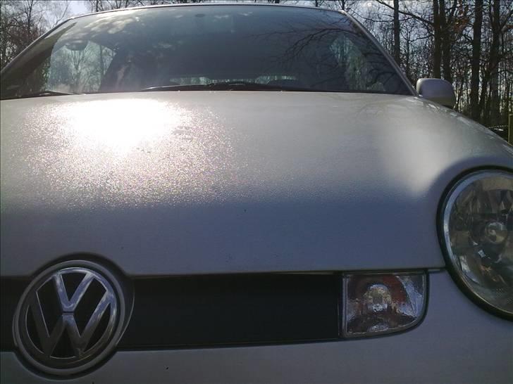 VW Lupo 1,2 TDI 3L - front billede 11