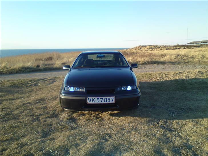Opel calibra billede 5