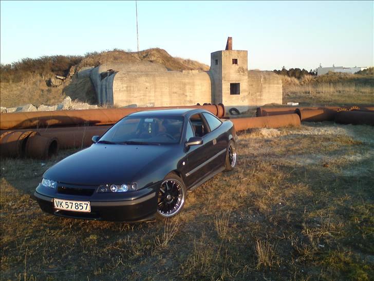 Opel calibra billede 11