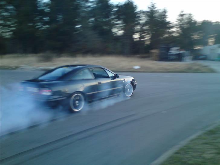 Opel calibra billede 13