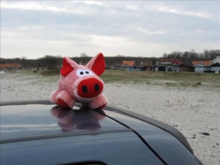 Fiat Uno 1.4 ie - Møffe får luftet ørerne :-D billede 12