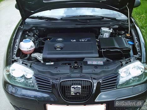 Seat Ibiza 1,4 16V *SOLGT* billede 12