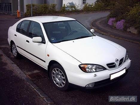 Nissan primera billede 3