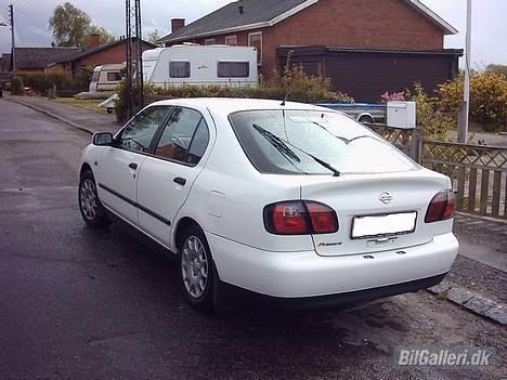 Nissan primera billede 5
