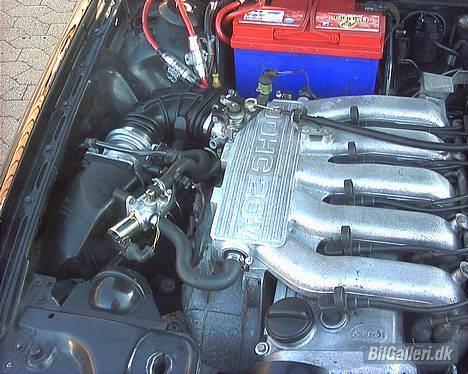 Audi Coupe Quattro 20v - DOHC 20V billede 3