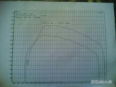 Peugeot 206 2.0 HDi solgt - RH-motorsport billede 12