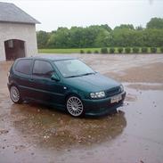 VW Polo 6n 1.6 [Tidl. Bil]