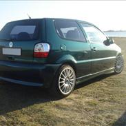 VW Polo 6n 1.6 [Tidl. Bil]