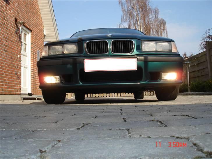 BMW 323 Ti Compact billede 12