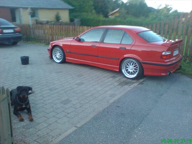 BMW e36 320/325 solgt  - lige den ene vagt hund billede 2