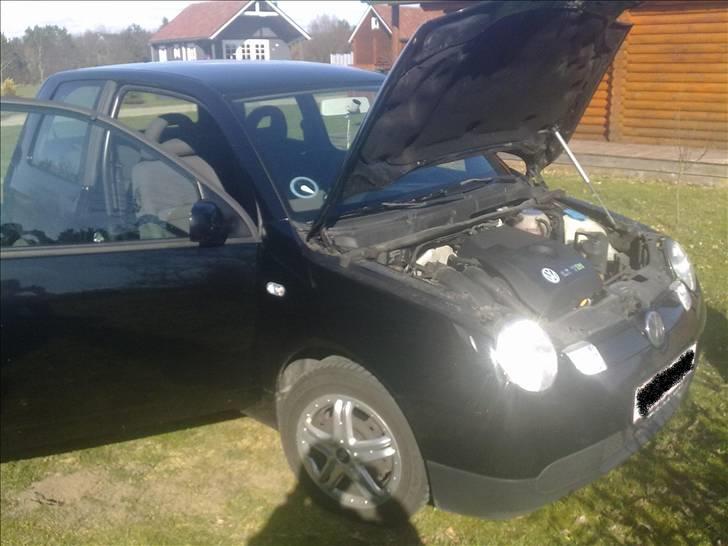 VW lupo 3l billede 2