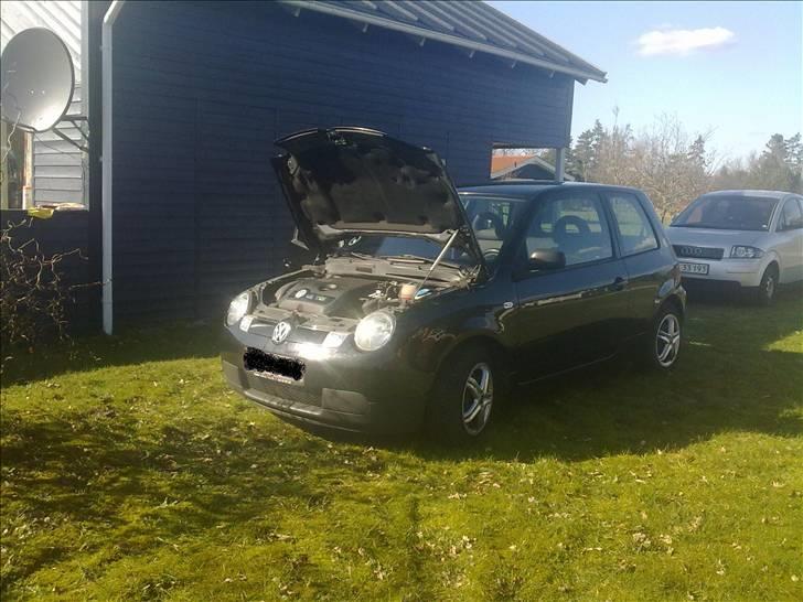 VW lupo 3l billede 4