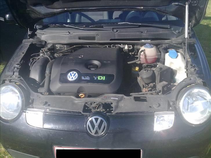VW lupo 3l billede 13