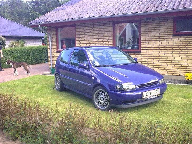 VW polo 6n solgt billede 1