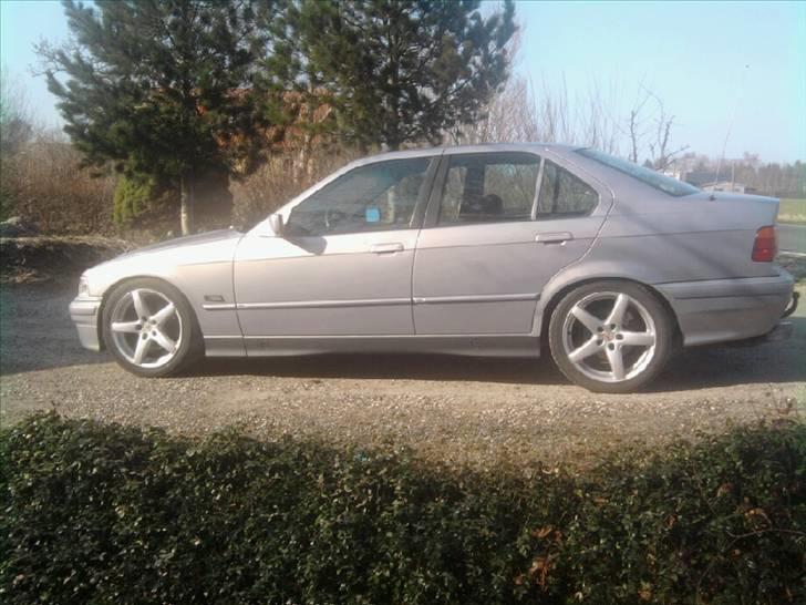 BMW E36 billede 11