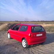 VW Polo 6n