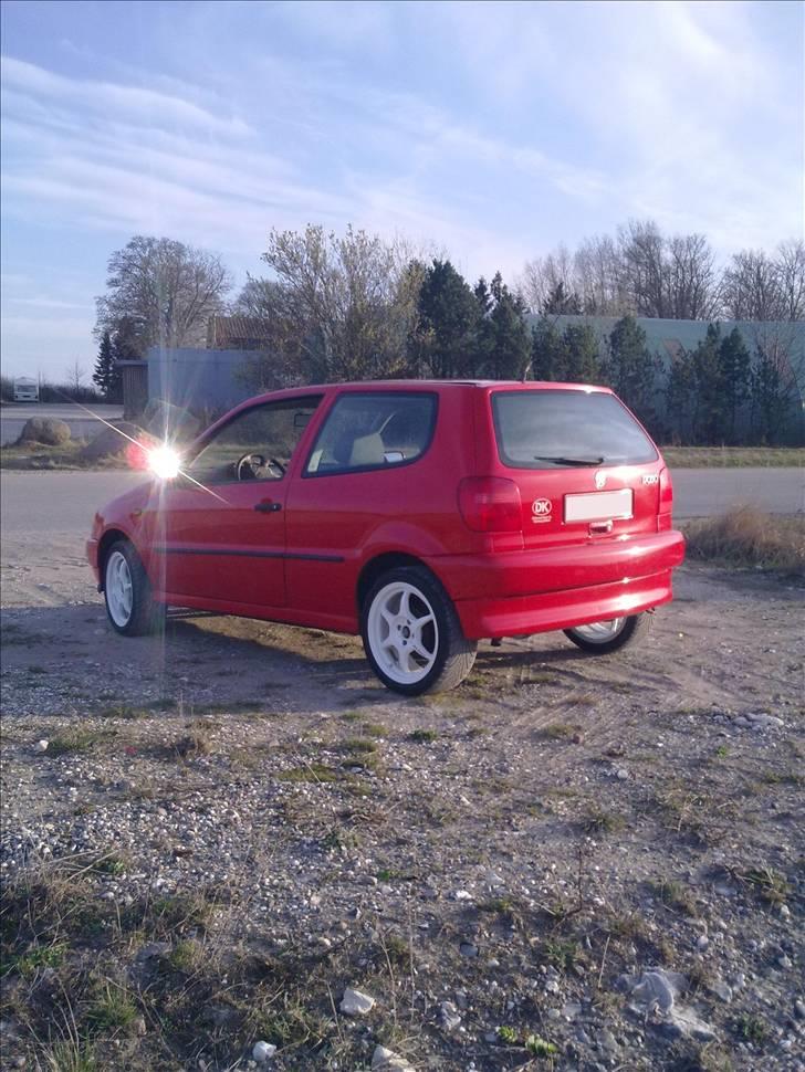 VW Polo 6n billede 14