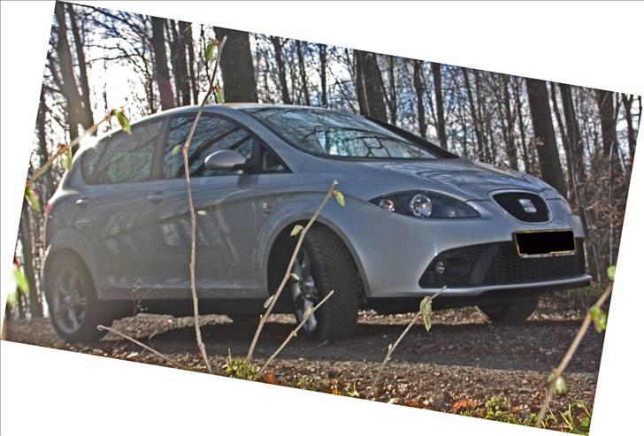 Seat Altea Fr Tdi billede 12