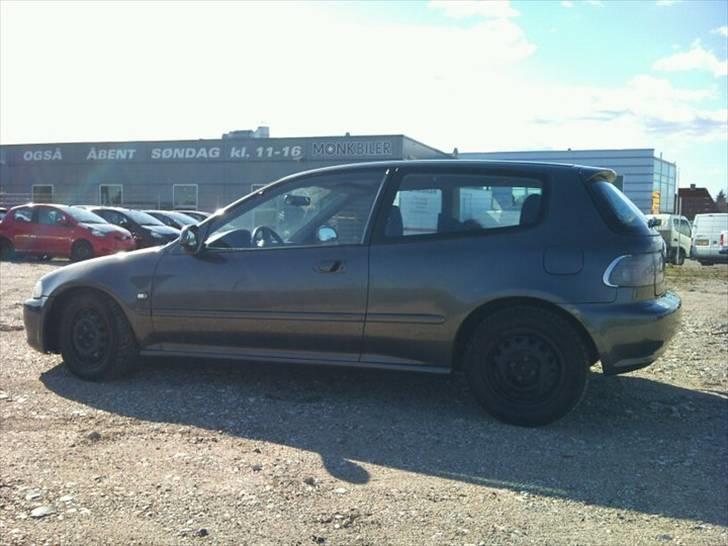 Honda Civic billede 2