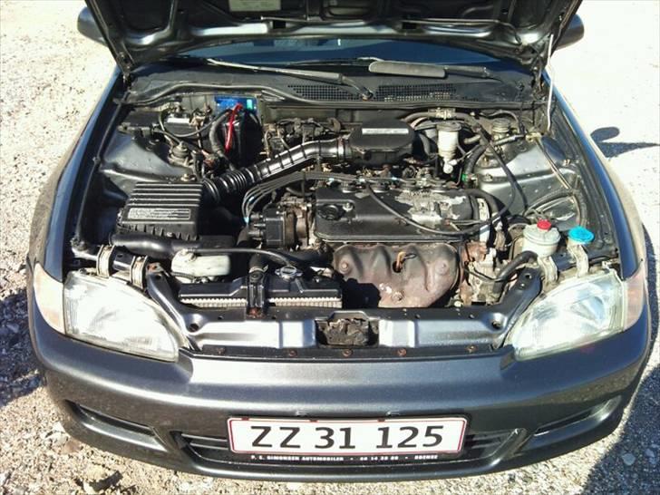 Honda Civic billede 10