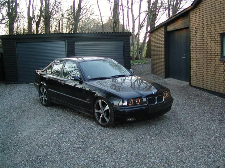 BMW E36 318  billede 2