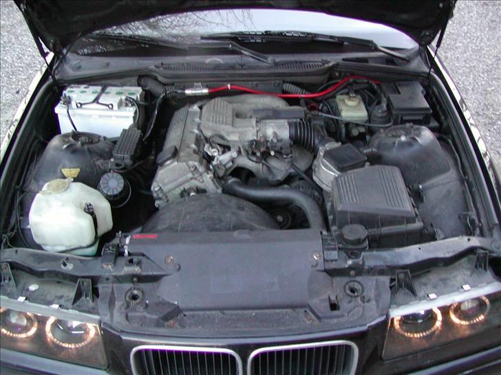 BMW E36 318  billede 8