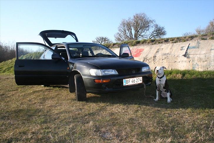 Toyota Corolla 1,3 XLI SOLGT billede 6