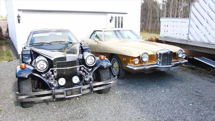 Amerikaner Zimmer Golden Spirit billede 10