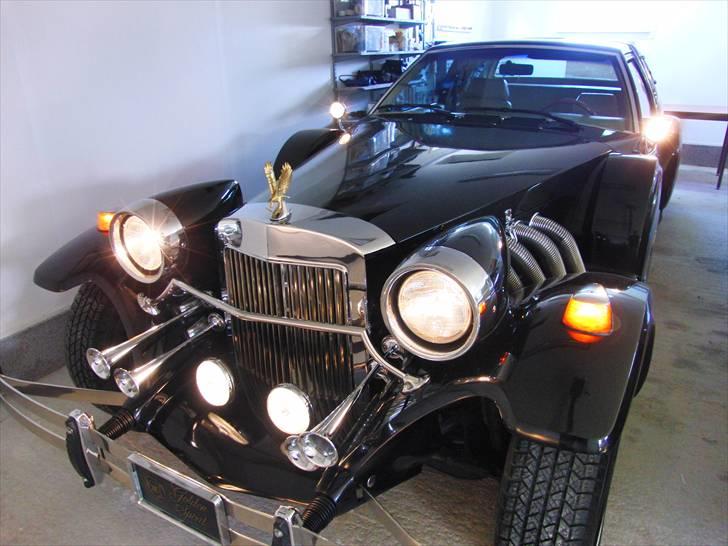 Amerikaner Zimmer Golden Spirit billede 12