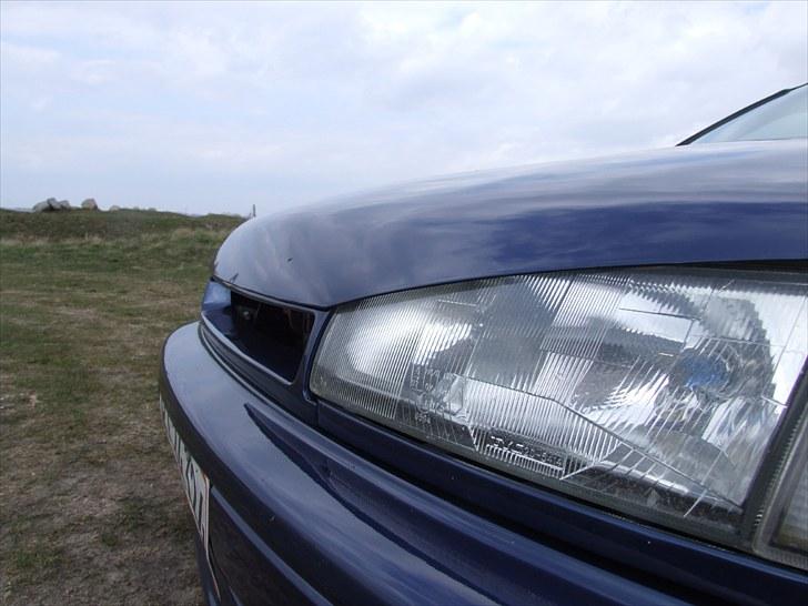 Nissan Primera P10 1.6 "byttet"  billede 6