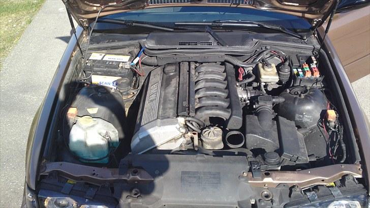 BMW 318is/320i Coupe *SOLGT* billede 10