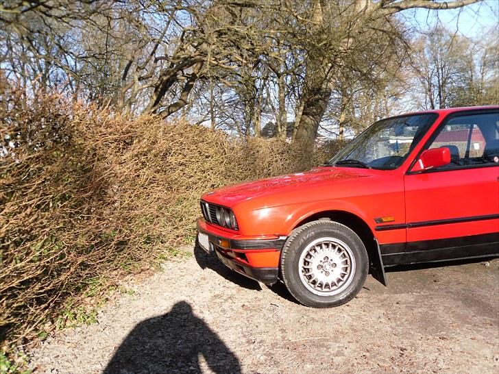 BMW e30 billede 7