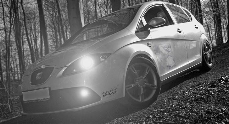 Seat Altea Fr Tdi - Photoshop  billede 20