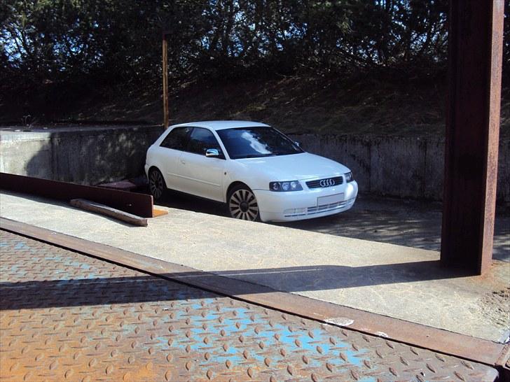 Audi A3 (SOLGT) billede 1