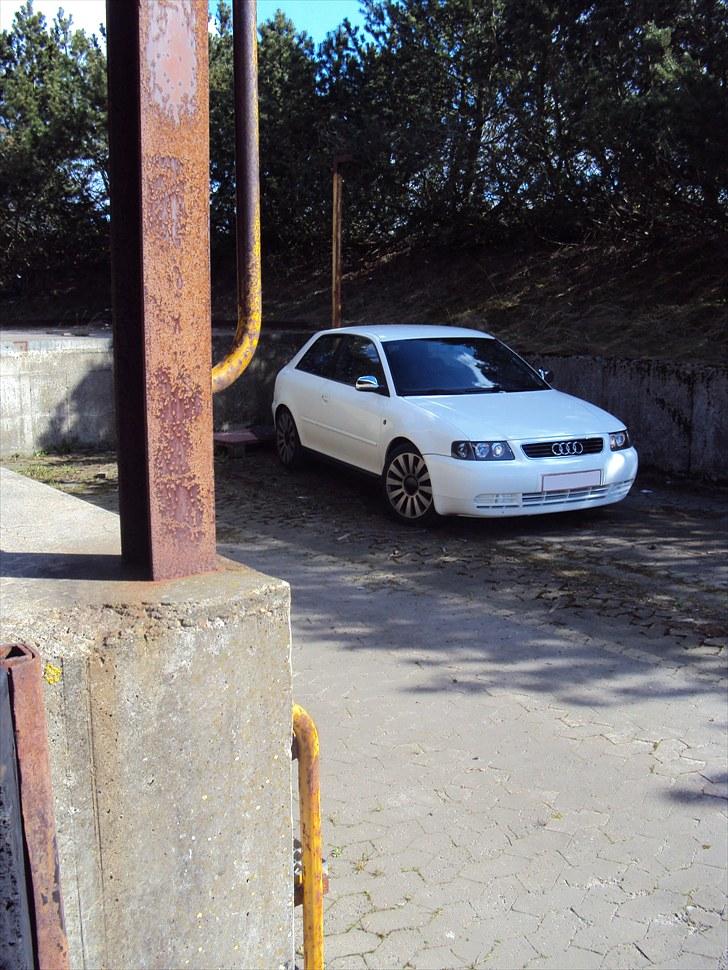 Audi A3 (SOLGT) billede 2