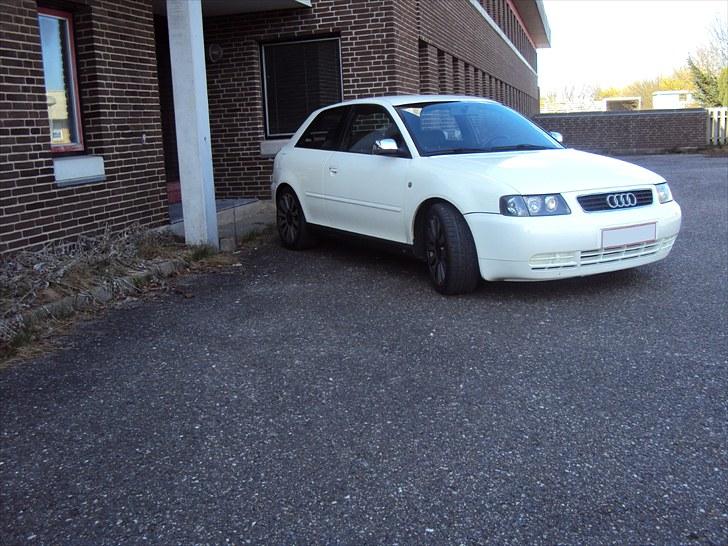 Audi A3 (SOLGT) billede 6
